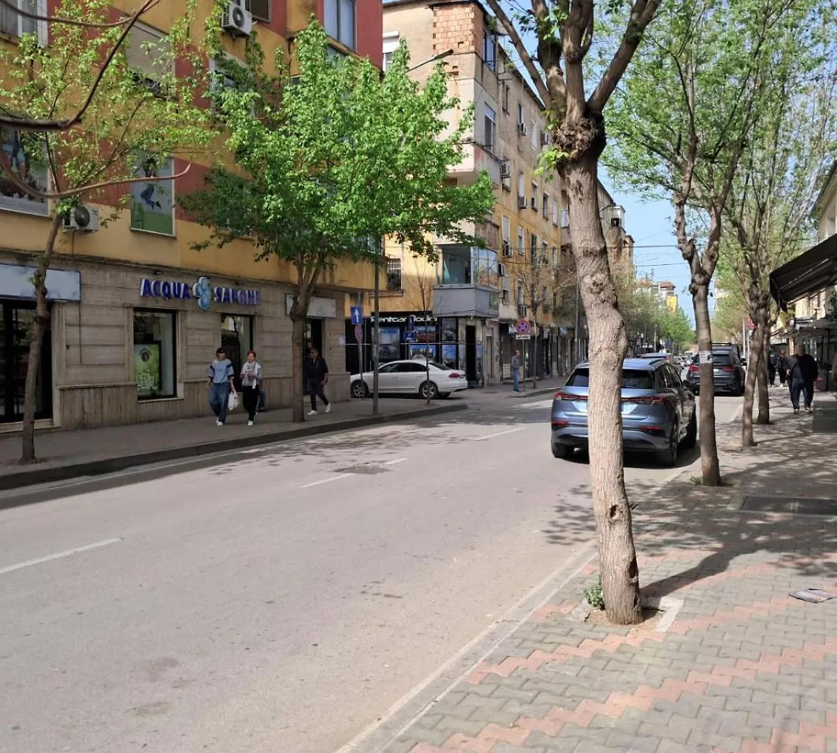Edea Flat Apartment Tirana 0*,